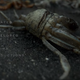 Illustration for article titled Hideo Kojima's New Game, Death Stranding, Already Has Conspiracy Theories